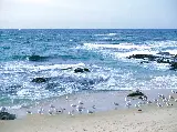 輪播圖片
