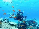 輪播圖片