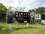 輪播圖片