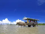 輪播圖片