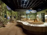 輪播圖片