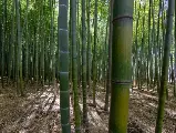 輪播圖片