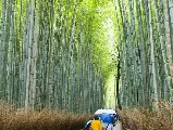 輪播圖片