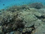 輪播圖片