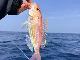 輪播圖片