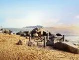 輪播圖片