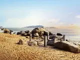 輪播圖片