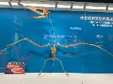 輪播圖片