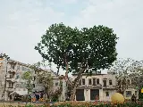 輪播圖片