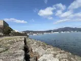 輪播圖片