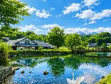 輪播圖片