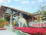 輪播圖片