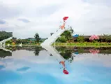 輪播圖片
