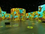 輪播圖片