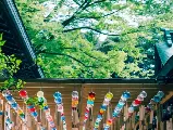 輪播圖片