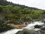 輪播圖片