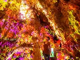 輪播圖片