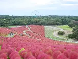 輪播圖片