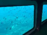 輪播圖片
