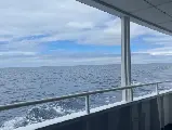 輪播圖片