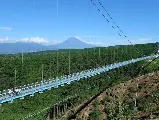 輪播圖片