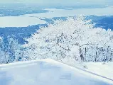 輪播圖片