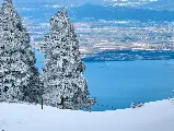 輪播圖片