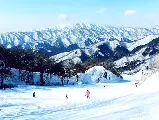 輪播圖片