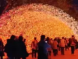 輪播圖片