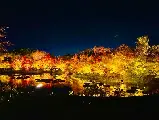 輪播圖片