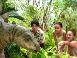 輪播圖片
