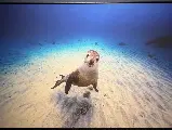 輪播圖片