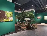 輪播圖片