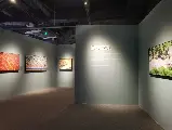 輪播圖片