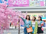 輪播圖片