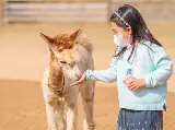 輪播圖片