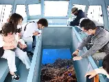 輪播圖片