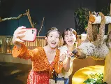 輪播圖片