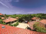 輪播圖片