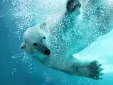 輪播圖片