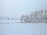 輪播圖片