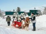 輪播圖片