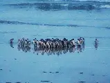 輪播圖片