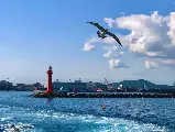 輪播圖片