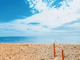 輪播圖片