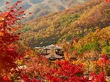 輪播圖片