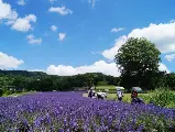 輪播圖片