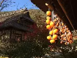 輪播圖片
