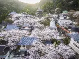 輪播圖片