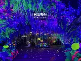 輪播圖片